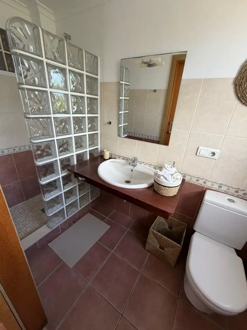 Baño de Casa adosada de alquiler en Alzira con Aire acondicionado, Jardín privado y Terraza