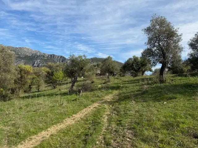 Land for sale in Ubrique