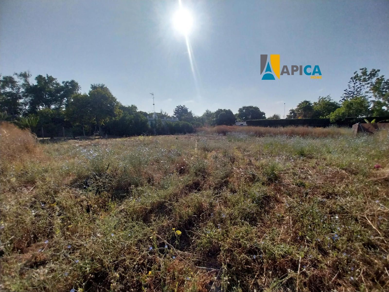Terreno en venta en Vejer de la Frontera