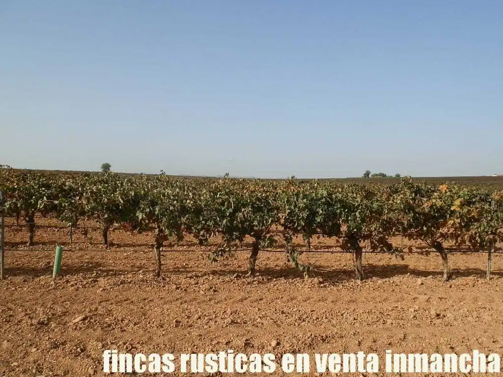 Terrenys i solars en venda a Almagro, imagen 18