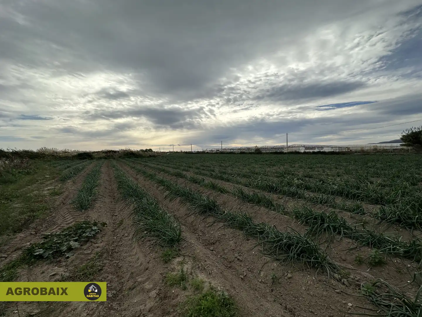 Rural land for sale in Torrent Ballester, imagen 3
