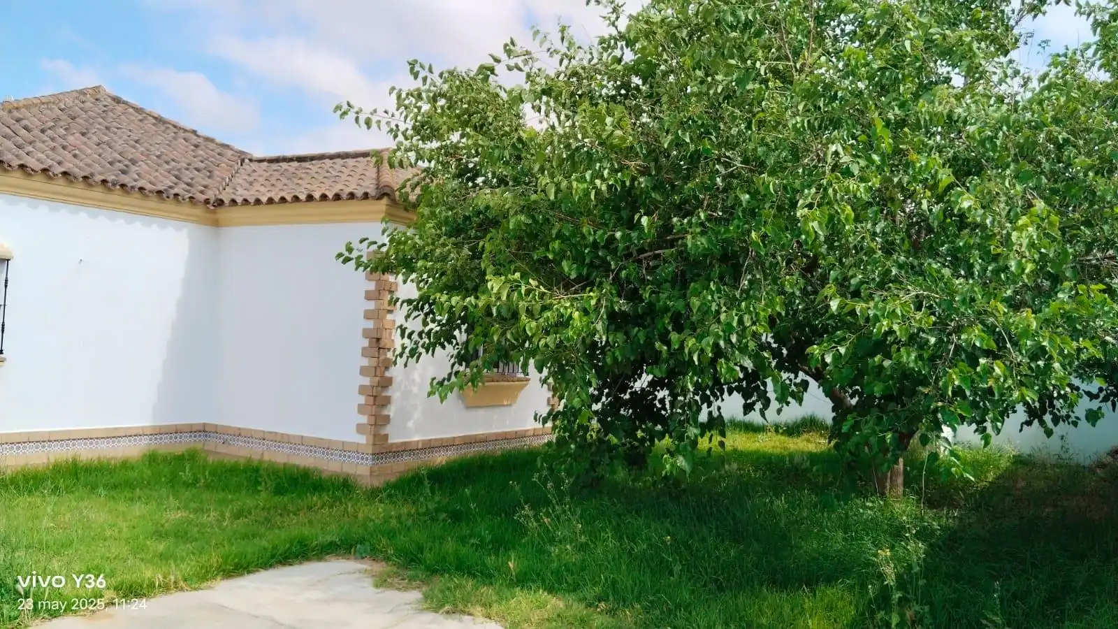 Jardín de Casa o chalet en venta en Chiclana de la Frontera con Jardín privado y Piscina comunitaria