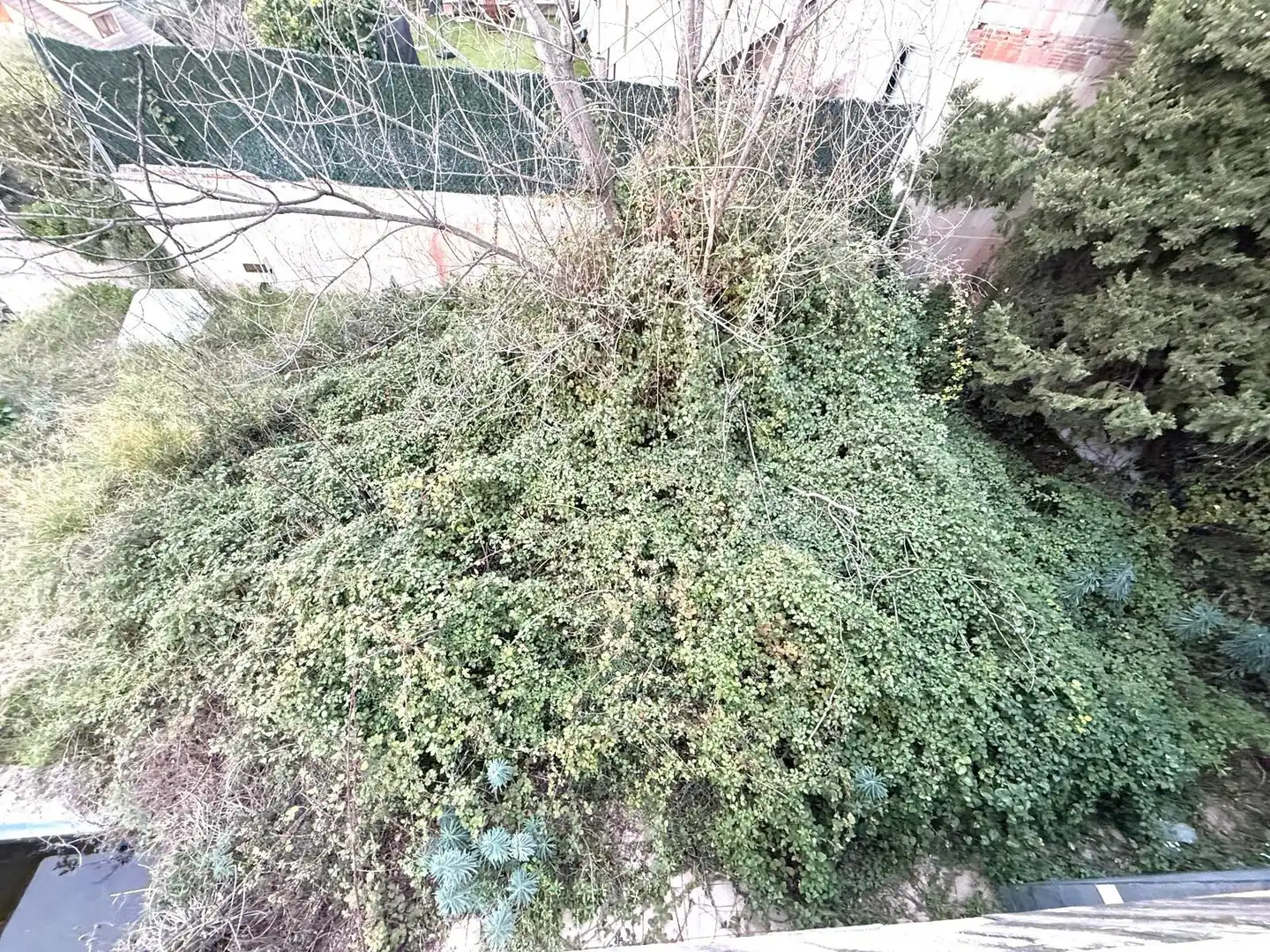 Maison avec jardin à vendre à TOMAS BRETON, imagen 19
