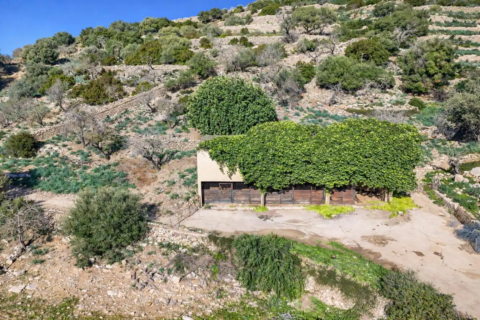 Haus mit Garten zum Verkauf in Manacor - Carrer de Vilanova, imagen 22