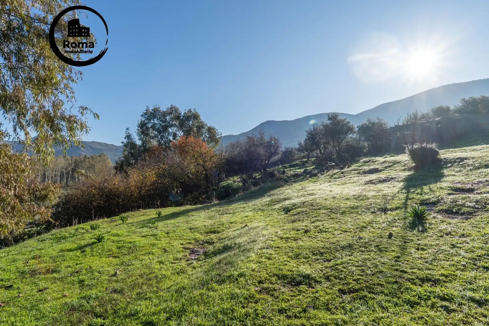 Rural land for sale in Órgiva, imagen 18