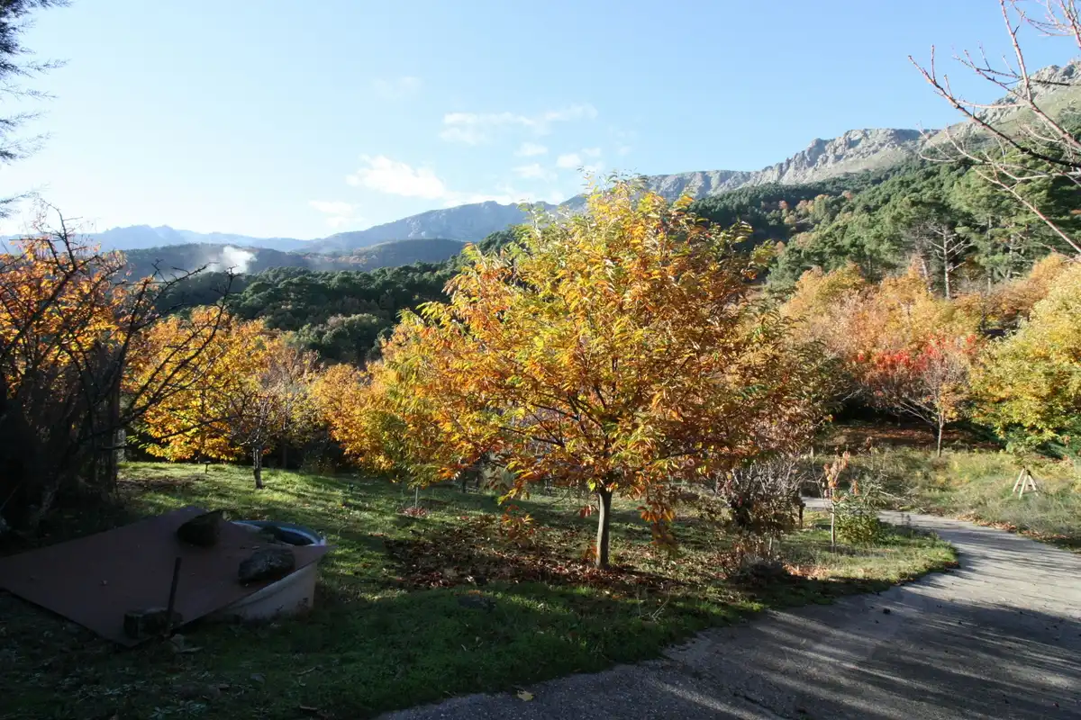 Jardí de Finca rústica en venda en El Arenal  amb Moblat