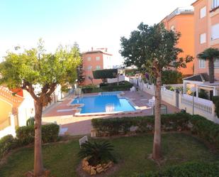 Swimming pool of Apartment for sale in Torrevieja  with Private garden, Terrace and Community pool