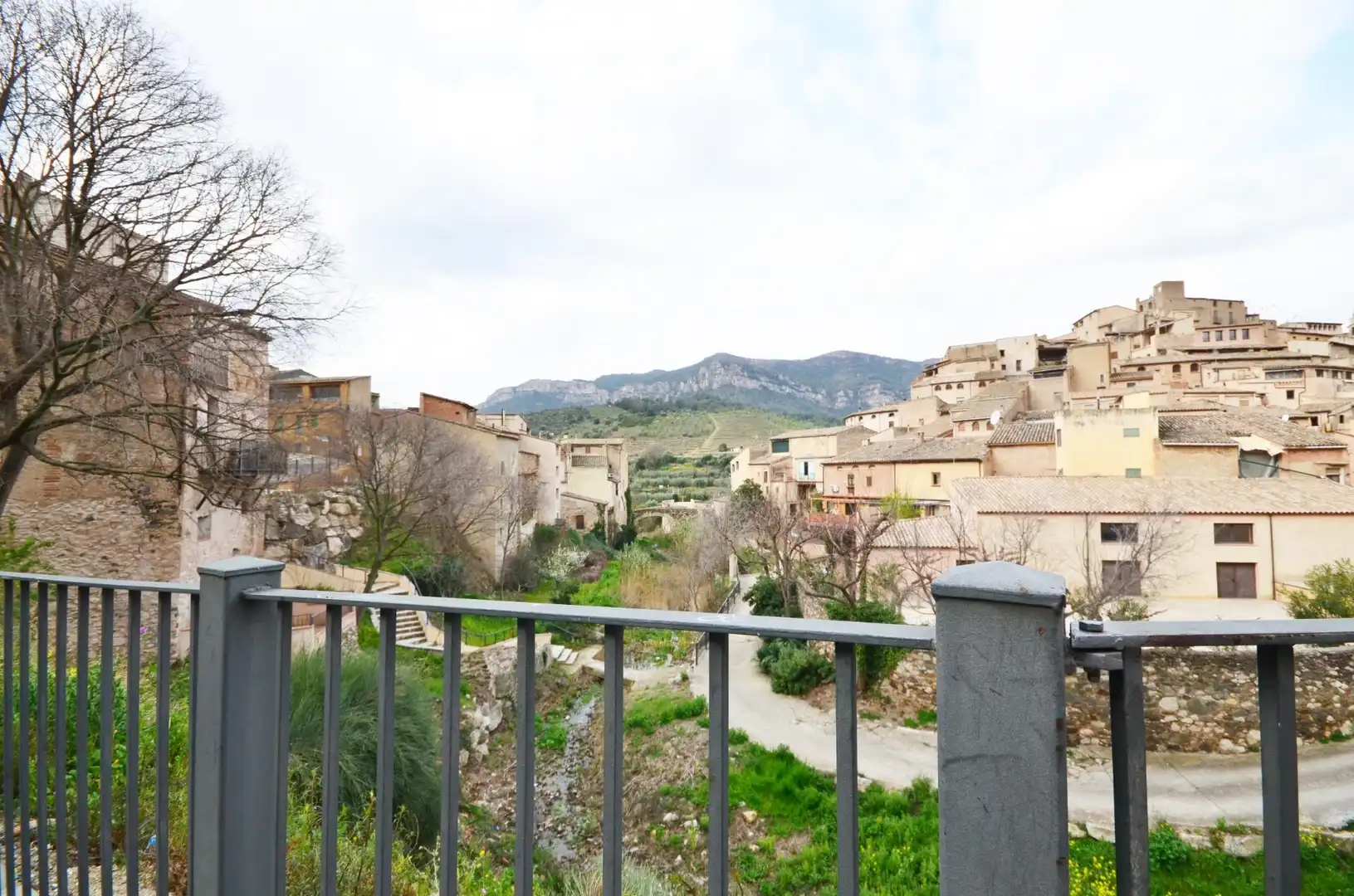 Vista exterior de Finca rústica en venta en La Vilella Baixa