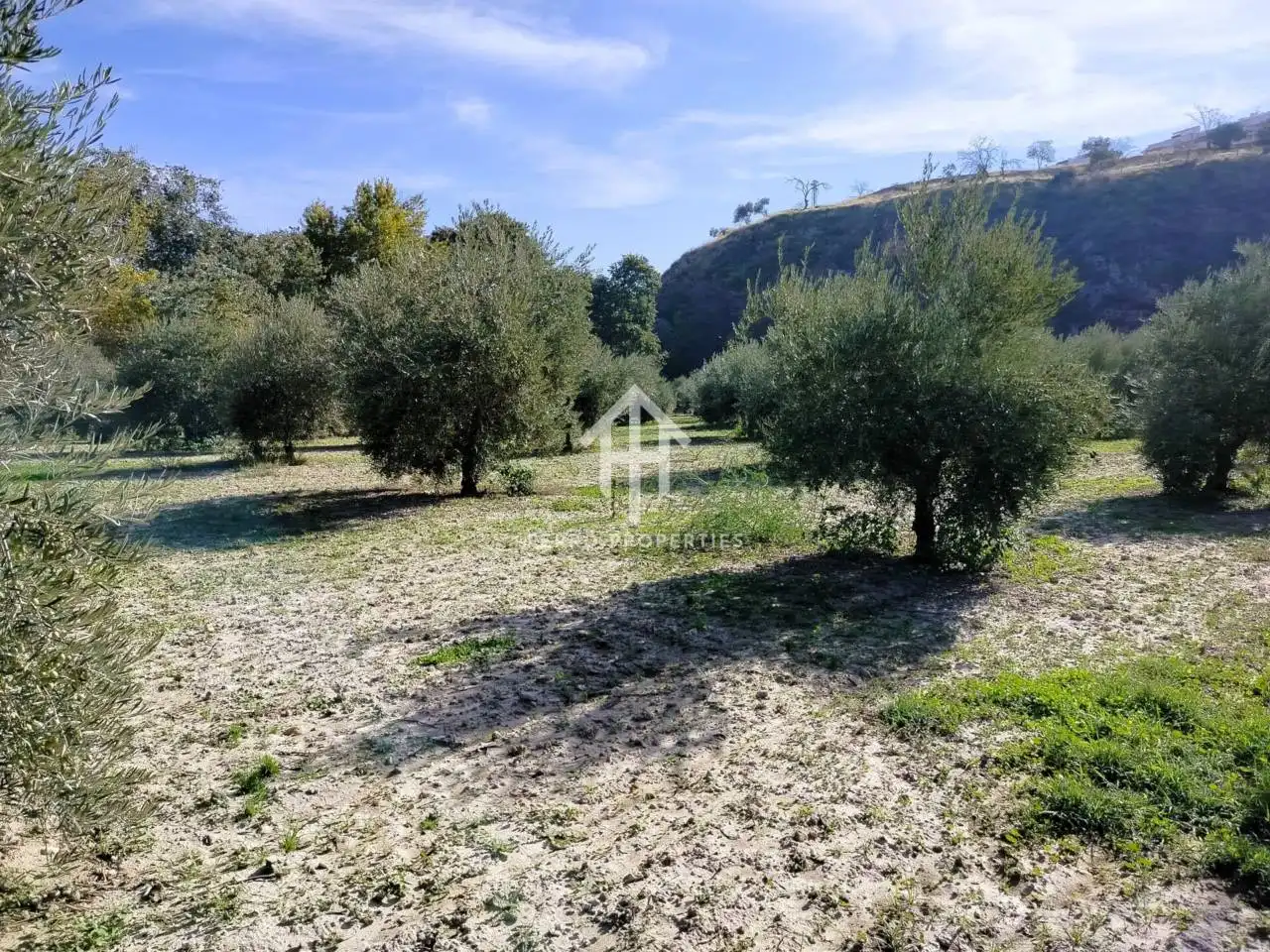 Terreni e lotti in vendita a Loja, imagen 11