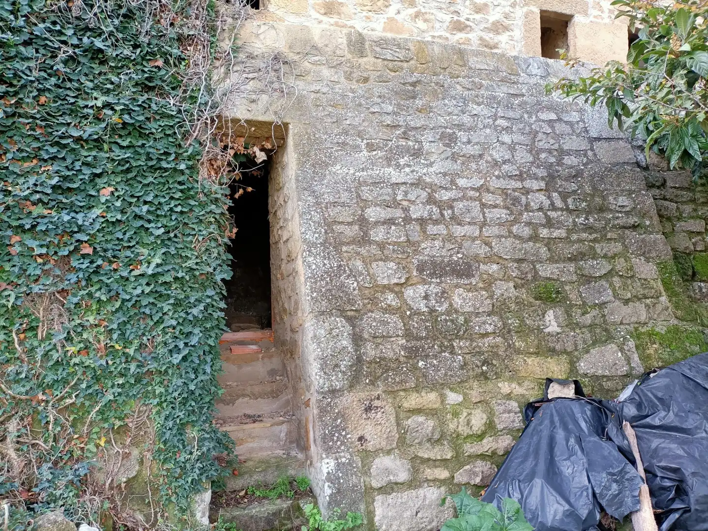 Finca rústica en venta en Codo