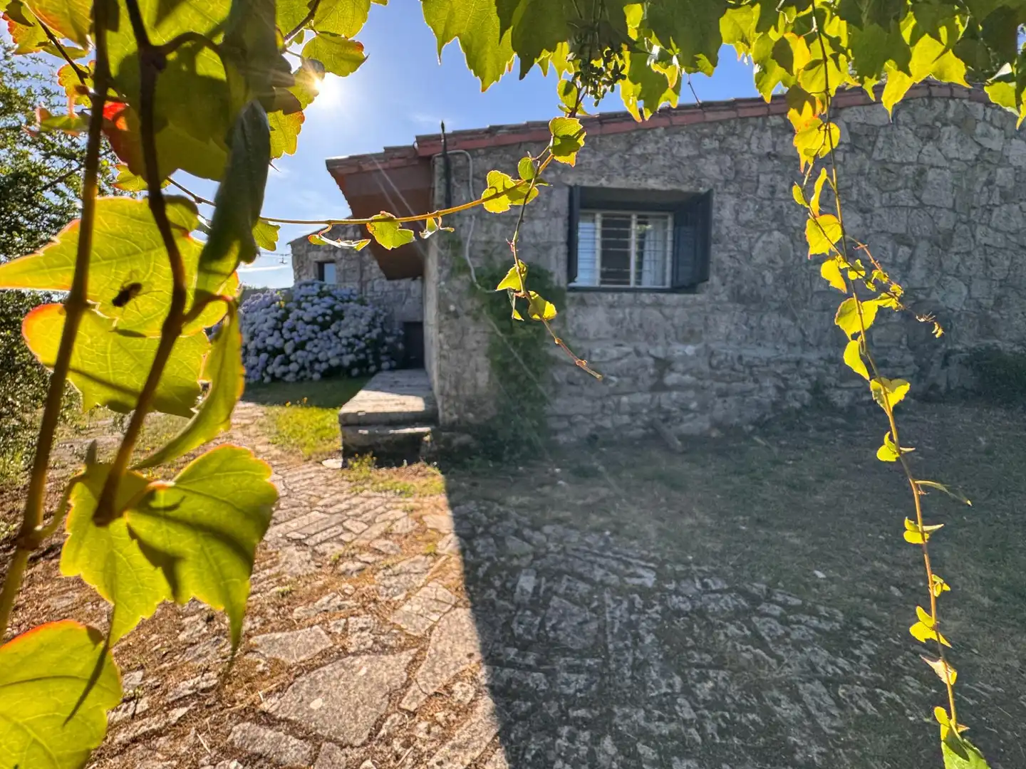 Vista exterior de Casa o chalet en venta en Pontevedra Capital  con Calefacción, Jardín privado y Terraza