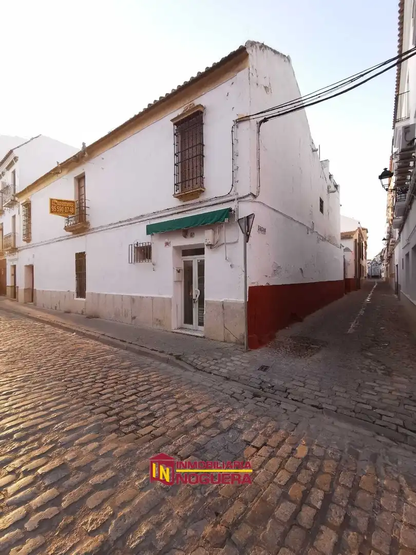 Exterior view of Houses for sale in Écija