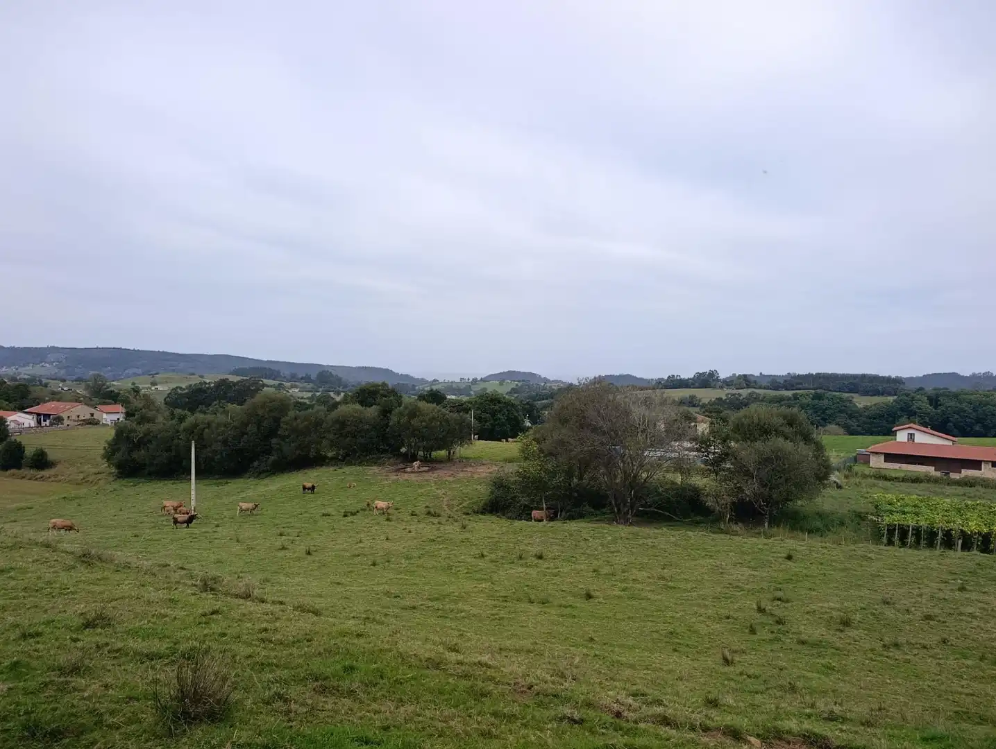 Rustikales Grundstück zum Verkauf in Carretera Piñera (Noriega) 0, imagen 27