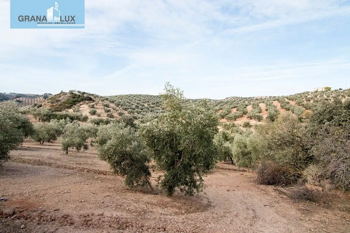 Country homes for sale in Loja