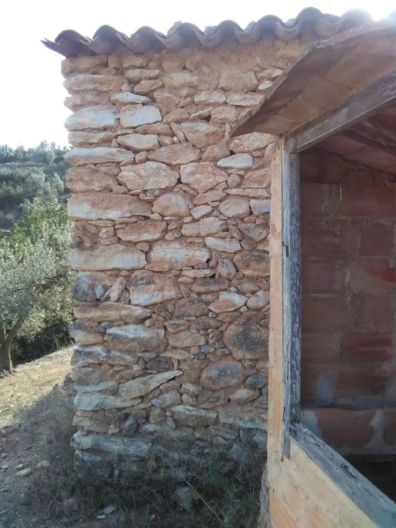 Exterior view of Country homes for sale in El Pinell de Brai