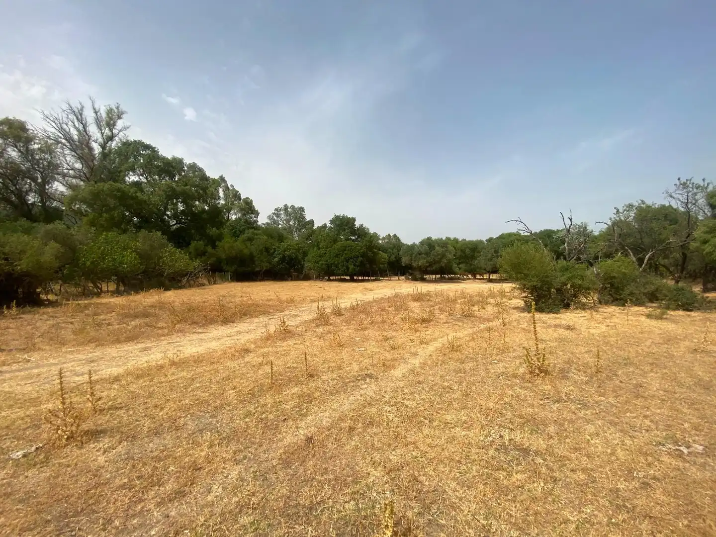 Terreni e lotti in vendita a Alcalá de los Gazules, imagen 87