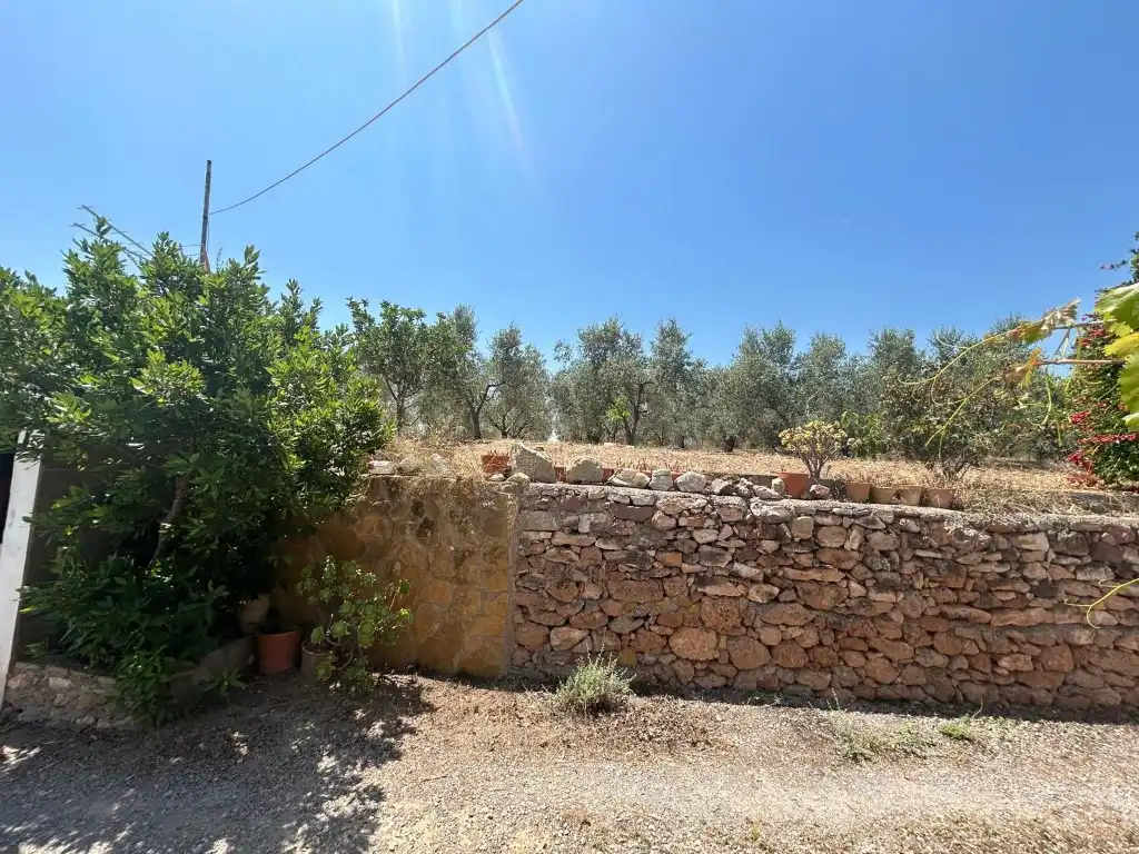 Finca rústica en venta en Sot de Ferrer