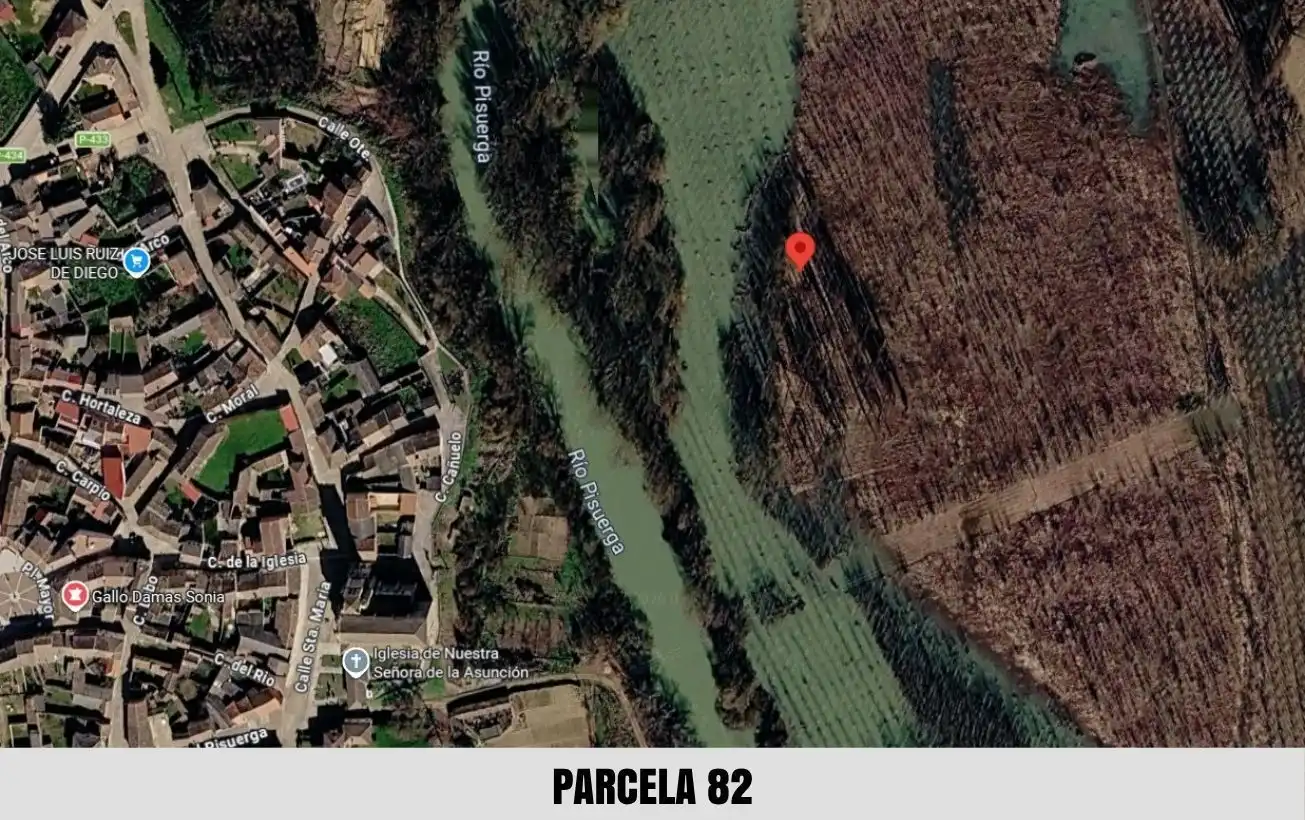 Terreno en venta en Palacios de Riopisuerga