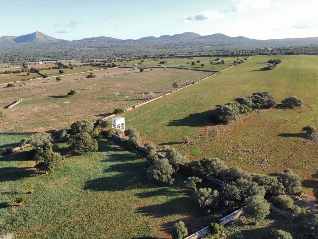Finca rústica en venta en Santa Margalida