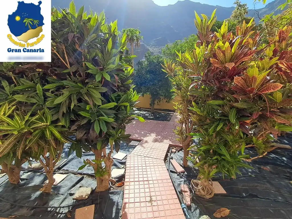 Terrasse von Wohnung zum Verkauf in Mogán mit Privatgarten und Terrasse