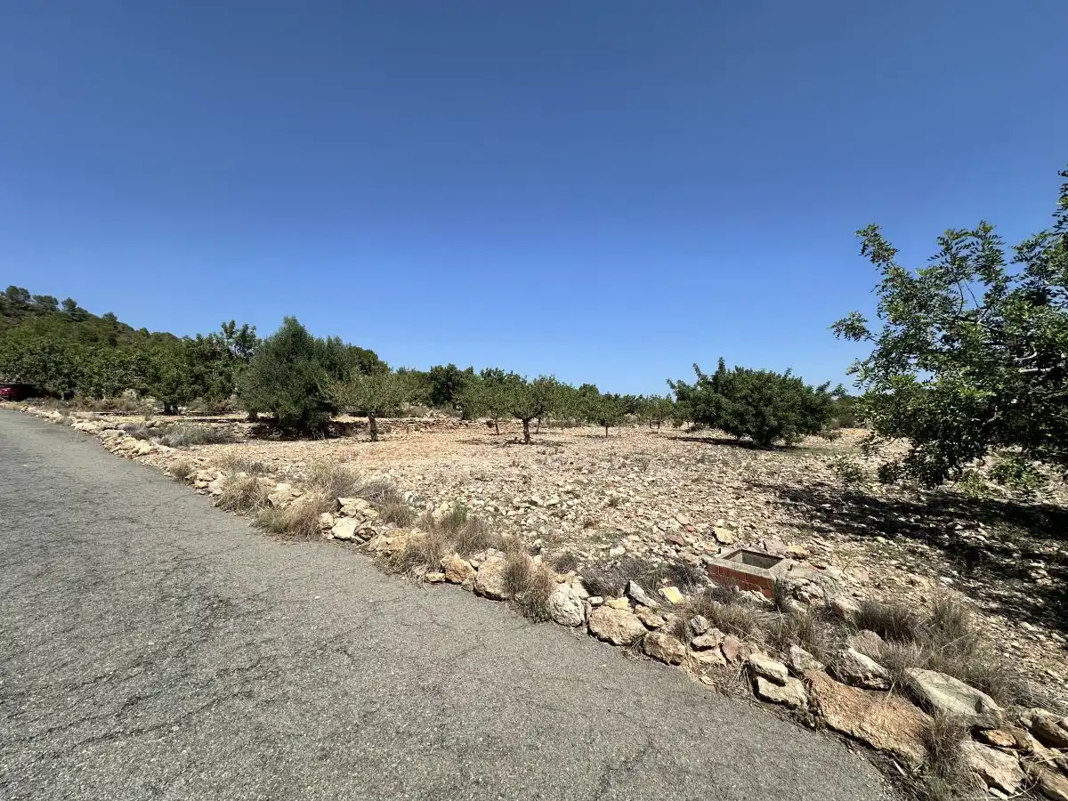 Terreno residencial en venta en Alfara de la Baronia, imagen 27