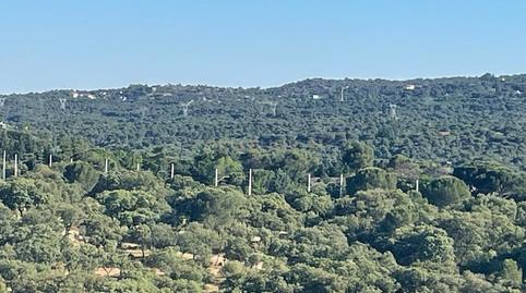 Photo 2 of Single-family semi-detached to rent in Cl Maria de Guevara 25 Galapagar (madrid), -1, Parquelagos - Puente Nuevo, Galapagar