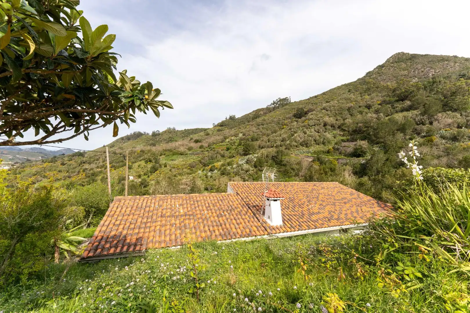 Casa o chalet de alquiler en Camino Camino del Monte, Tegueste
