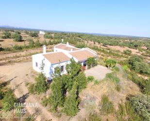 Exterior view of Country house for sale in San Silvestre de Guzmán  with Private garden and Terrace