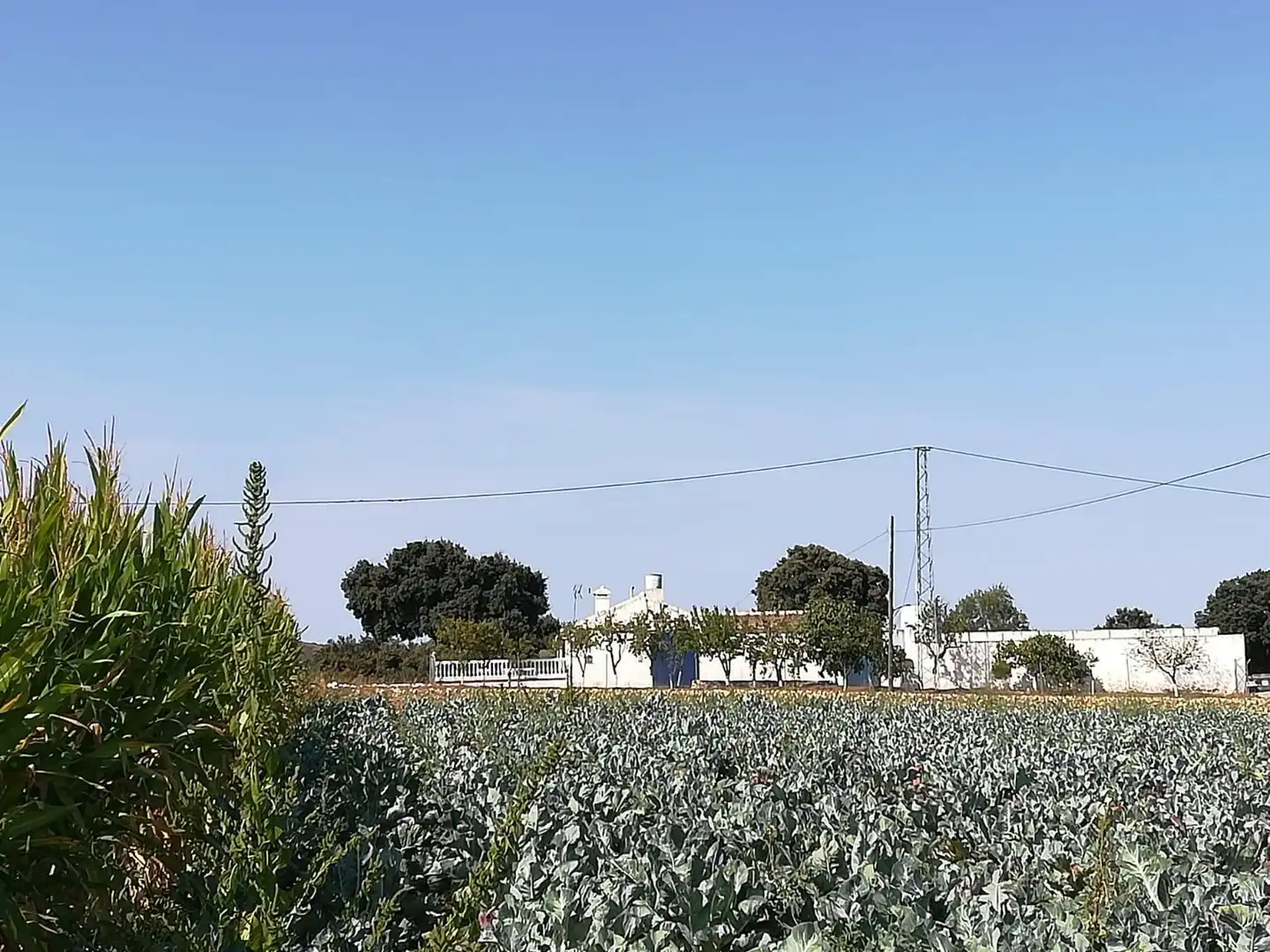 Country homes for sale in Alhama de Granada