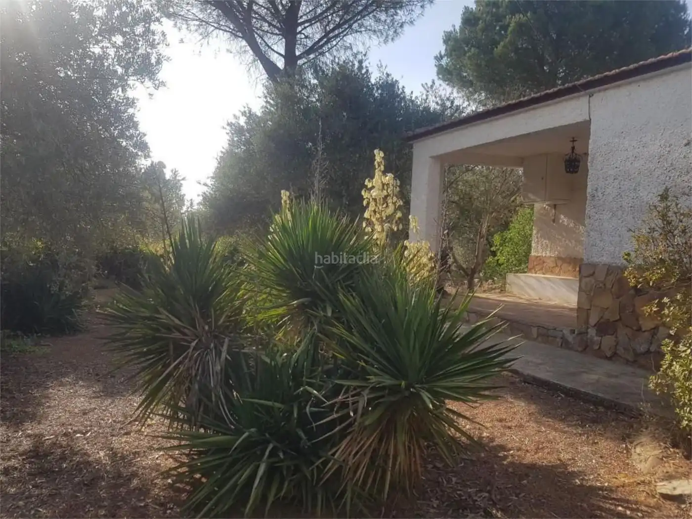 Casa amb jardí en venda a Calle Tapijo 50, imagen 12