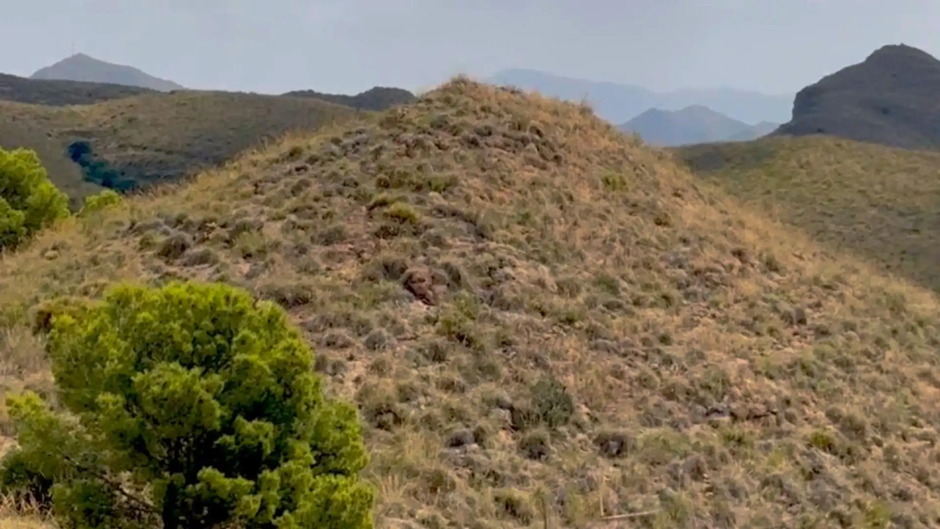 Country homes for sale in Lorca  with Private garden