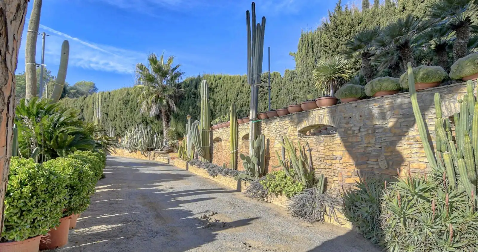 Maison à vendre à Residencial Begur - Esclanyà, imagen 9