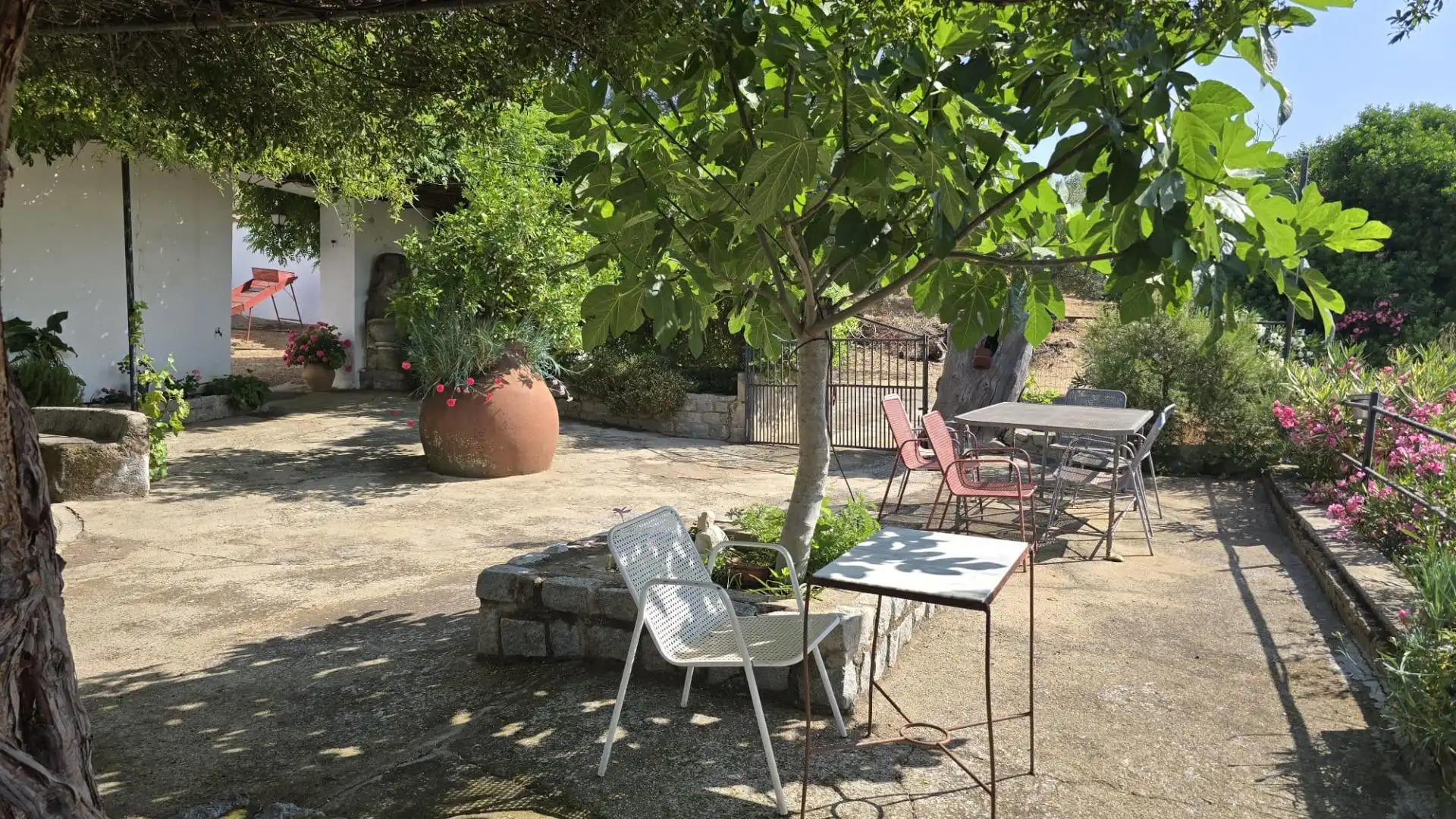 Jardín de Finca rústica en venta en Pozoblanco