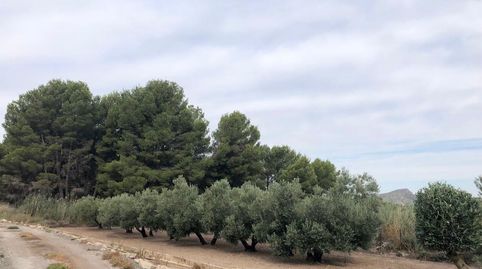 Foto 4 de Casa o xalet en venda a Las Virtudes, Villena