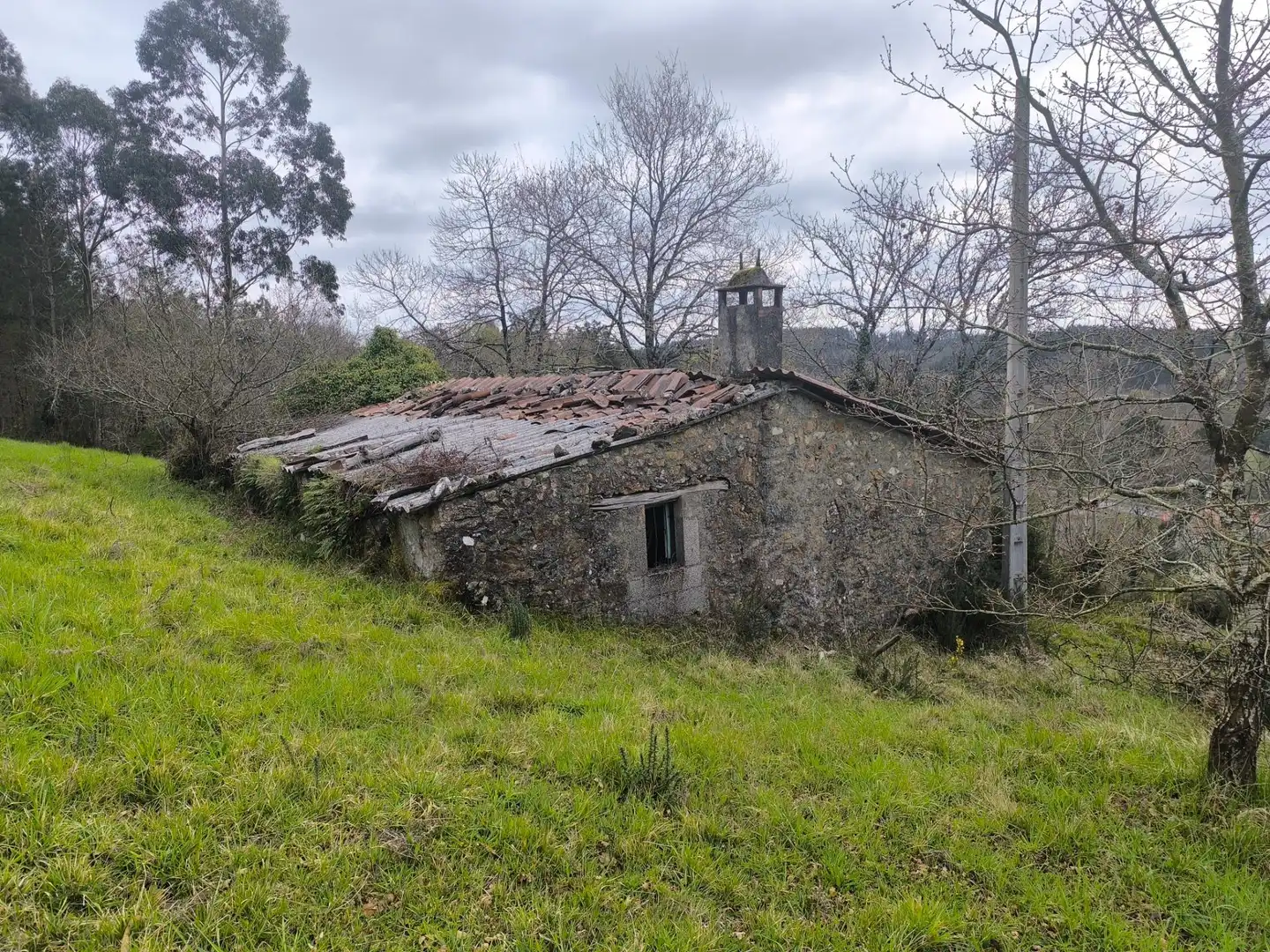 Vista exterior de Casa o xalet en venda en Palas de Rei amb Jardí privat