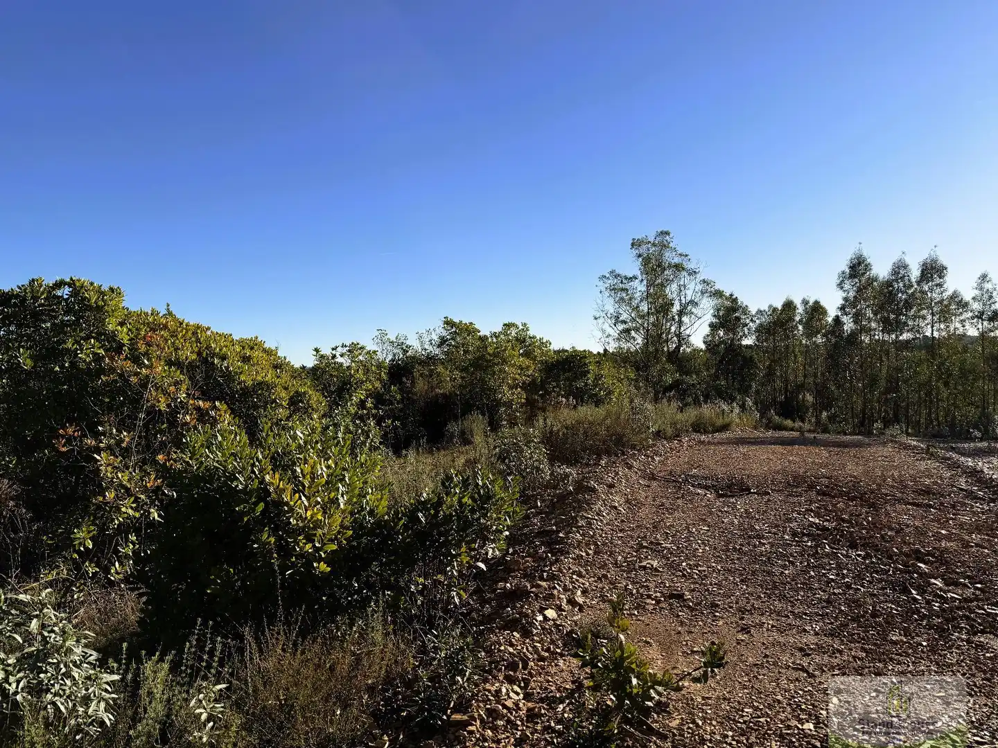 Finca rústica en venta en Berrocal