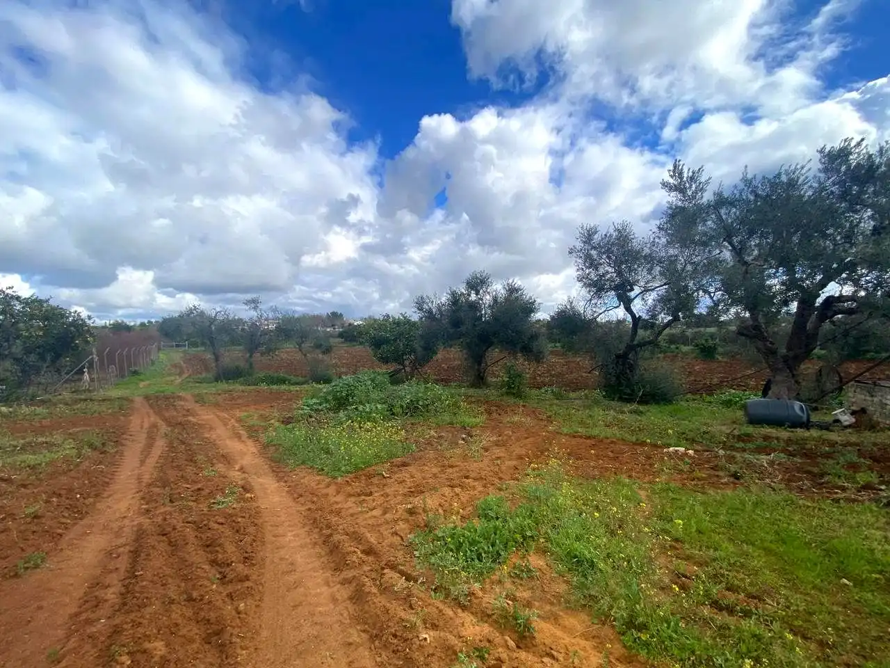 Finca rústica en venta en El Viso del Alcor