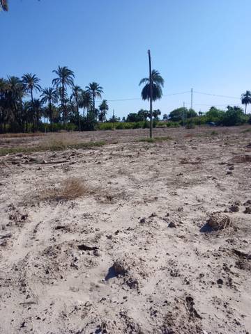Terreno en Venta en Alzabares