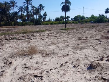 Terreno rustico in vendita a Alzabares