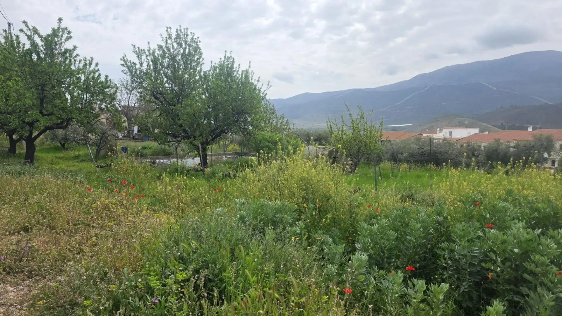 Country homes for sale in Laujar de Andarax