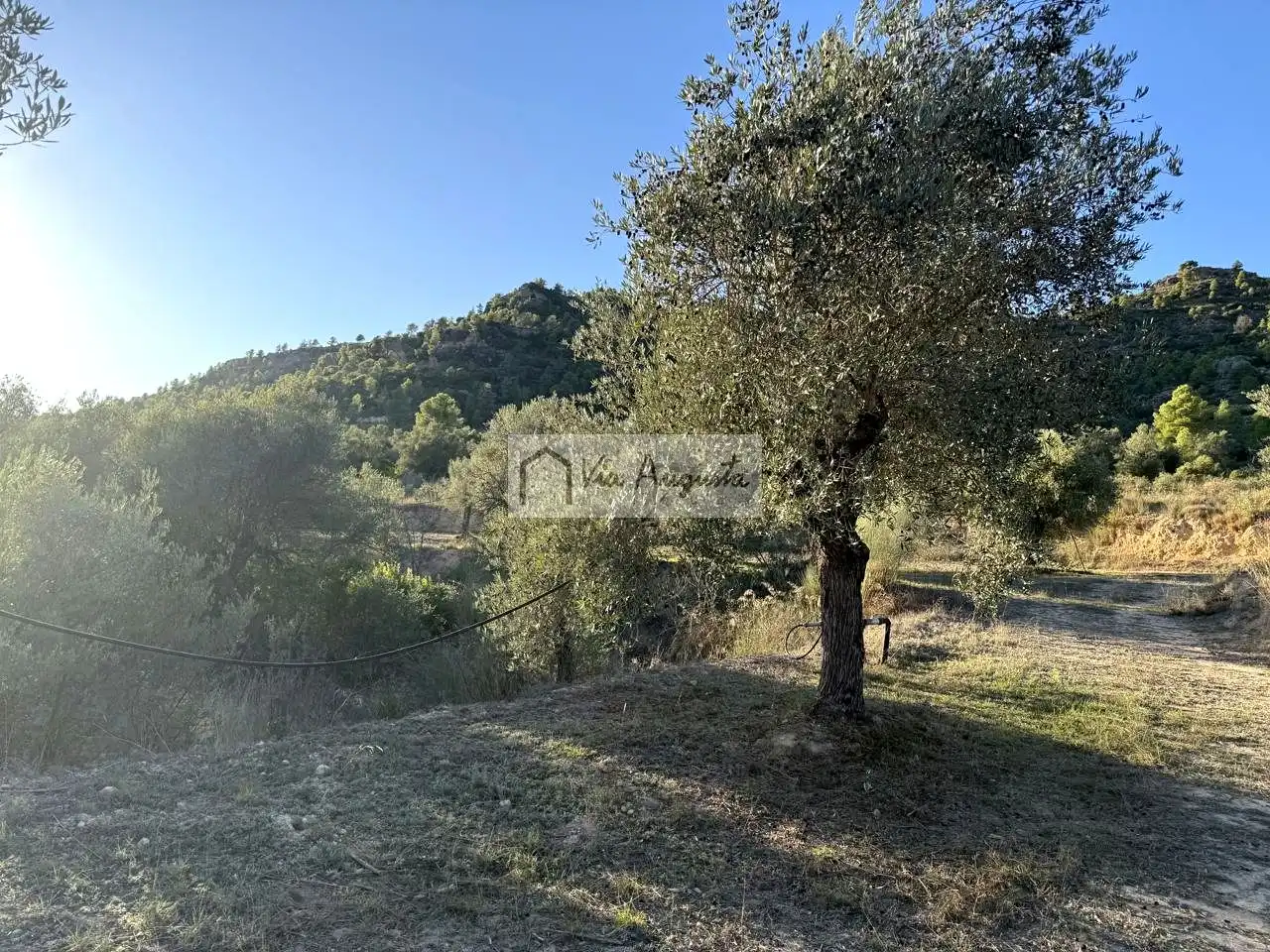 Terreno en venta en Vinebre