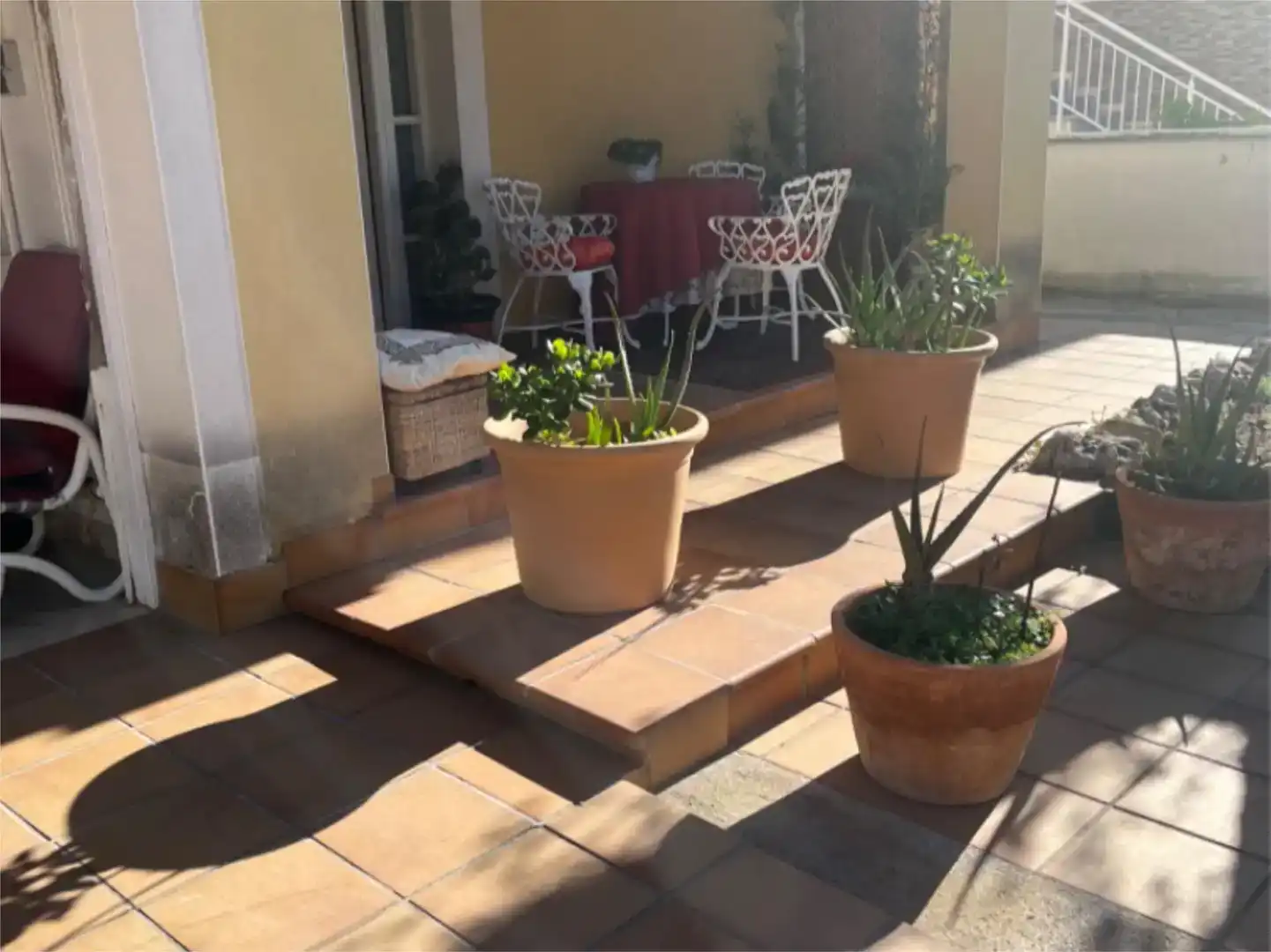 Terrace of Houses for share in La Franquesa - Oasis Park