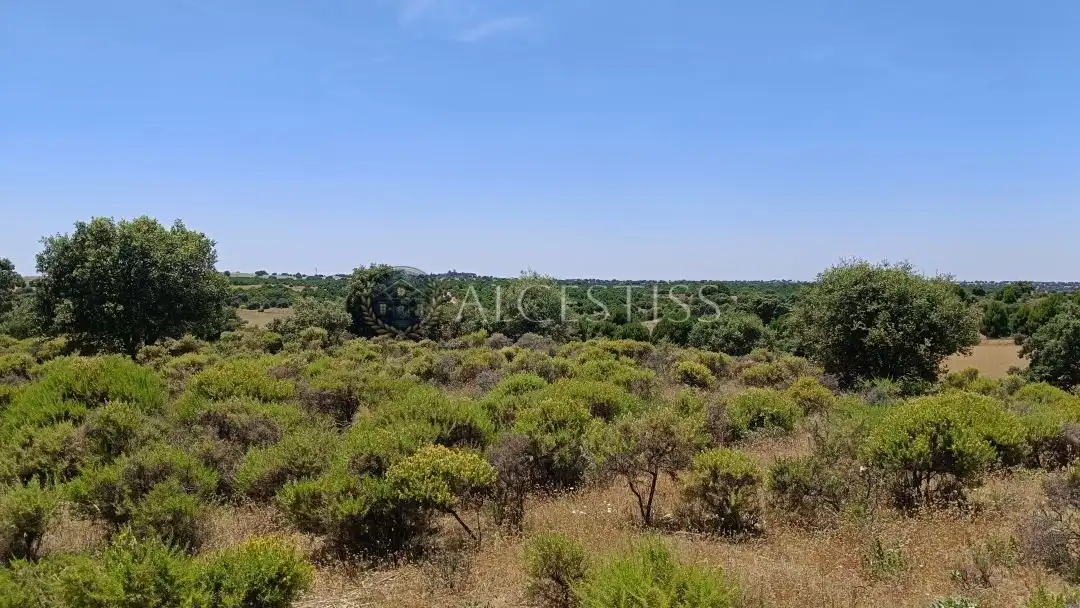 Terreno en venta en La Torre de Esteban Hambrán