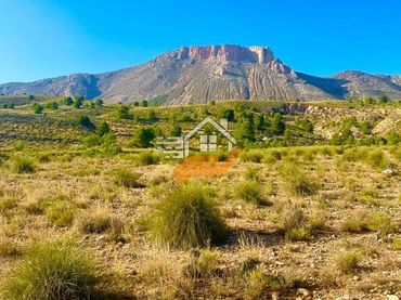 Terreny residencial en venda a Vélez-Blanco