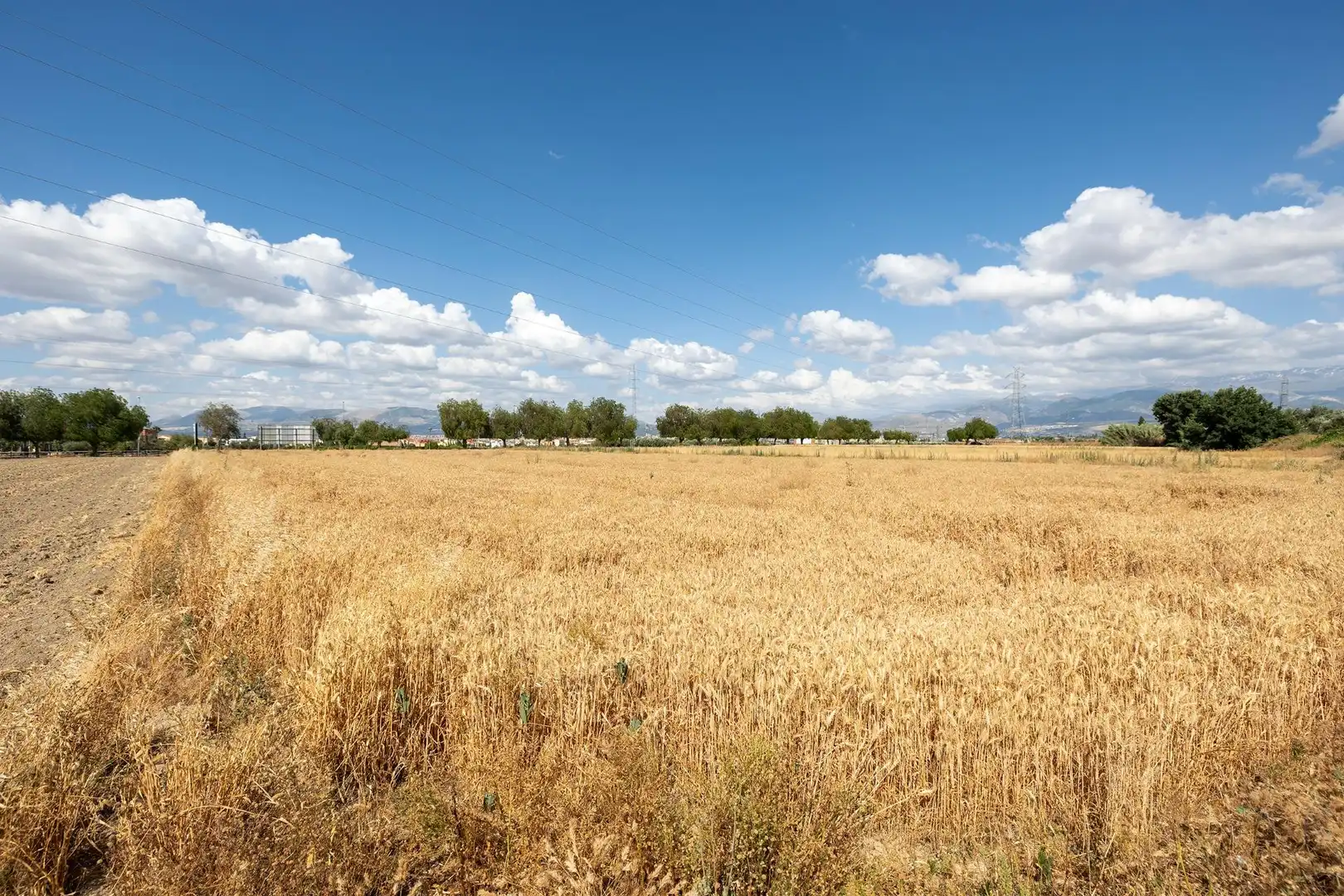 Residential land for sale in Híjar, imagen 20