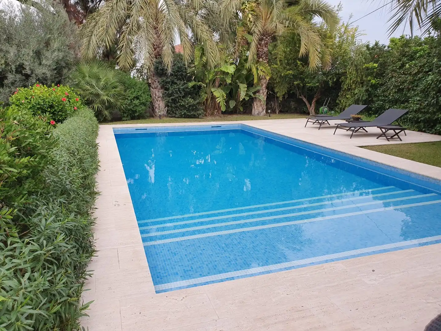 Piscina de Casa o xalet en venda en Alicante / Alacant amb Piscina