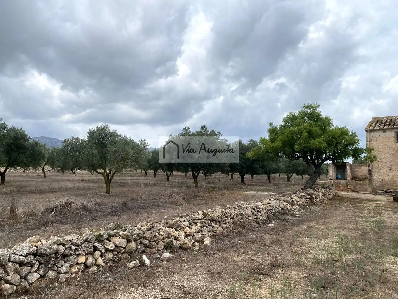 Terreno rustico in vendita a Burga, imagen 6