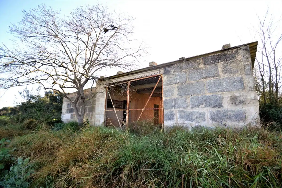 Maison rustique à vendre à Llubí, imagen 8