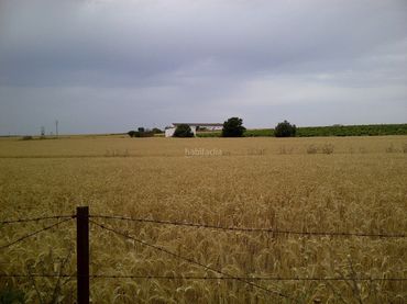 Terreno rustico in vendita a Diseminado Villamiel 2
