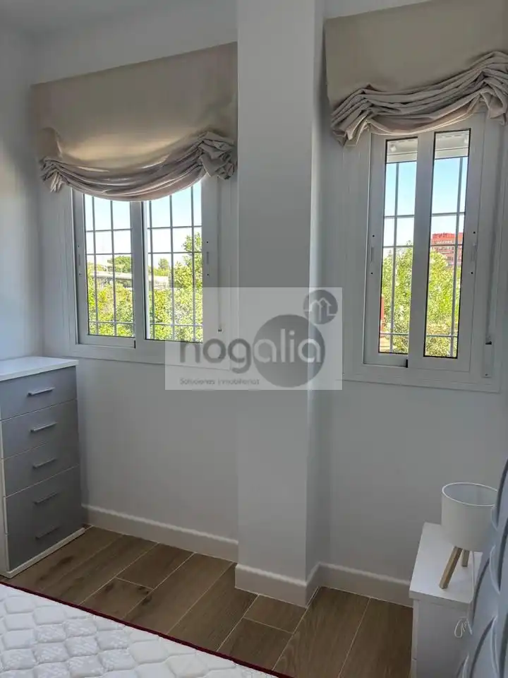 Ground floor for rent in Triana Casco Antiguo